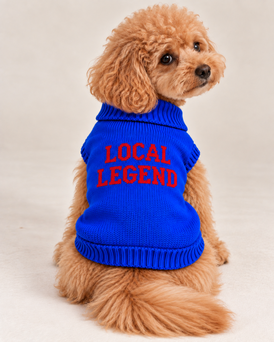 Maglioncino per cane "Local Legend"