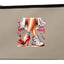 POCHETTE IHAVE RANPOLLO MILANO