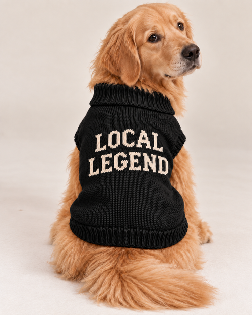 Load image 1 in gallery view. Maglioncino per cane "Local Legend"