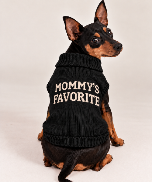 Load image 1 in gallery view. Maglioncino per cane "Mommy's Favorite"