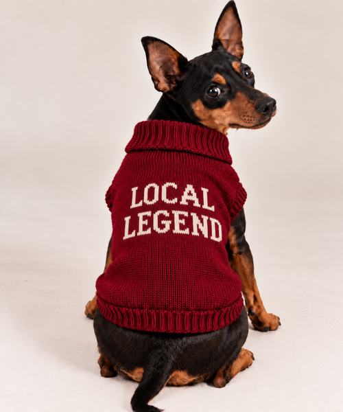 Load image 1 in gallery view. Maglioncino per cane "Local Legend"