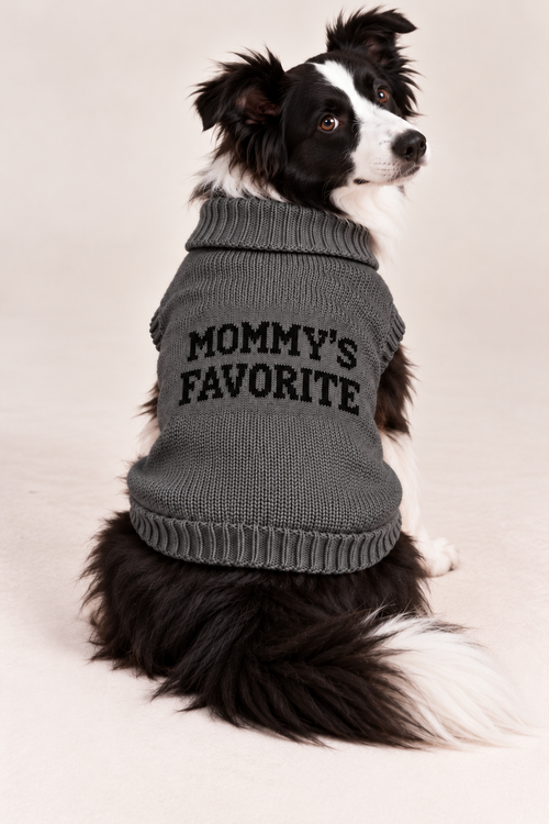 Load image 1 in gallery view. Maglioncino per cane "Mommy's Favorite"