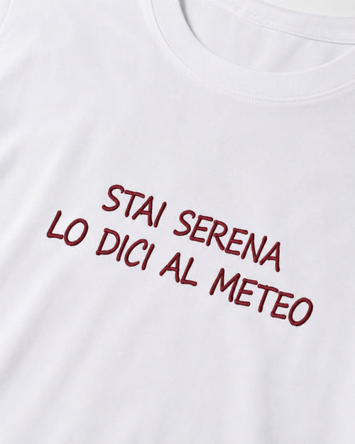 Load image 1 in gallery view. Staiserena Regular T-shirt