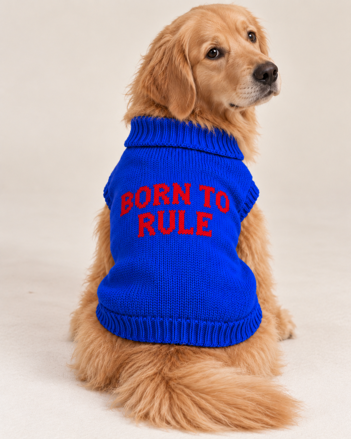 Maglioncino per cane "Born to Rule"