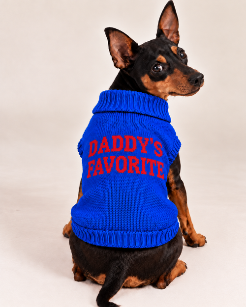 Load image 1 in gallery view. Maglioncino per cane "Daddy's Favorite"