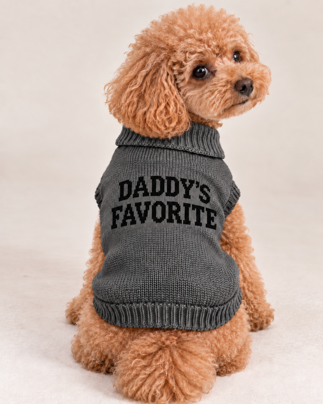 Maglioncino per cane "Daddy's Favorite"