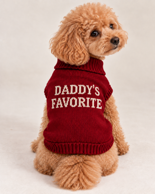 Load image 1 in gallery view. Maglioncino per cane "Daddy's Favorite"
