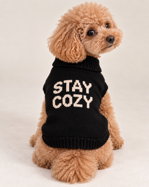 Carica immagine 1 in visualizzazione galleria. Maglioncino per cane "Stay Cozy"