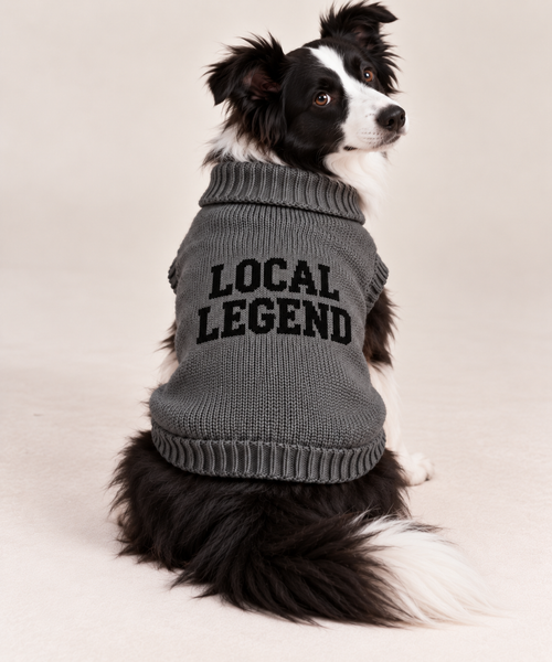 Load image 1 in gallery view. Maglioncino per cane "Local Legend"
