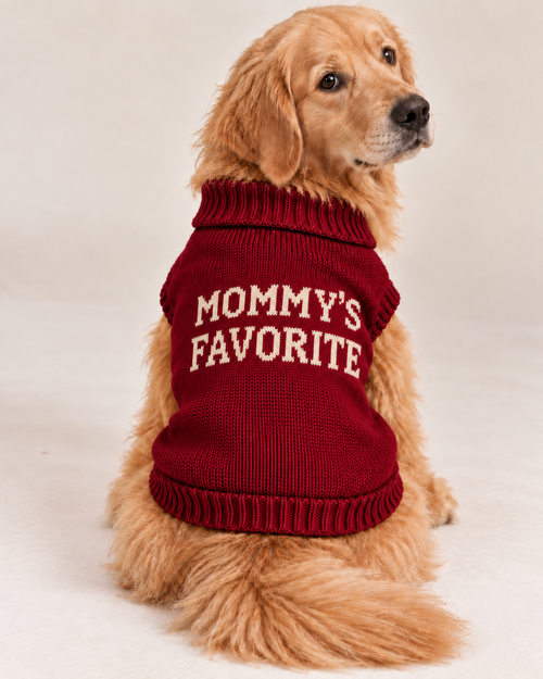 Load image 1 in gallery view. Maglioncino per cane "Mommy's Favorite"